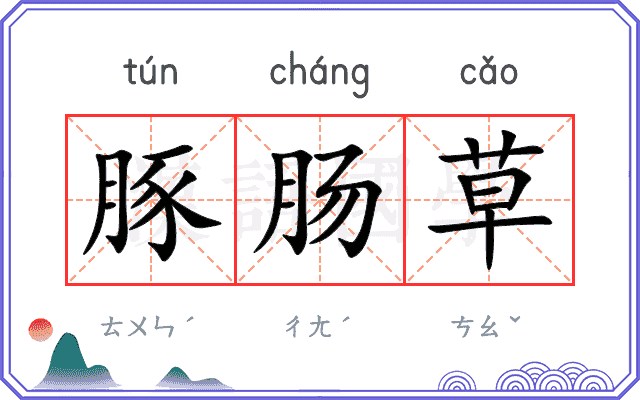 豚肠草