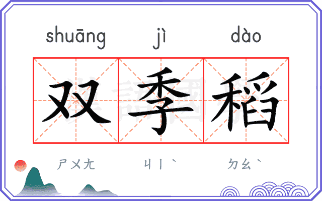 双季稻