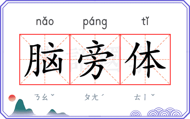 脑旁体