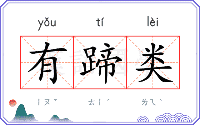 有蹄类