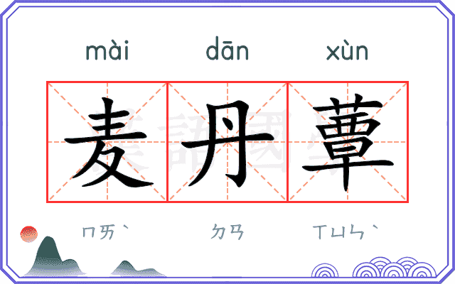 麦丹蕈