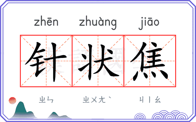 针状焦