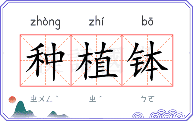 种植钵