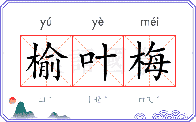 榆叶梅