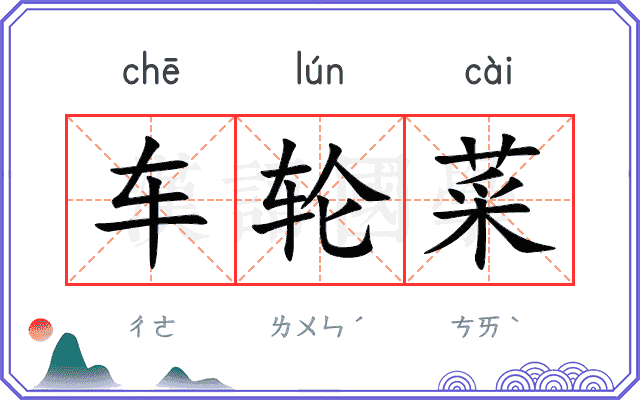 车轮菜