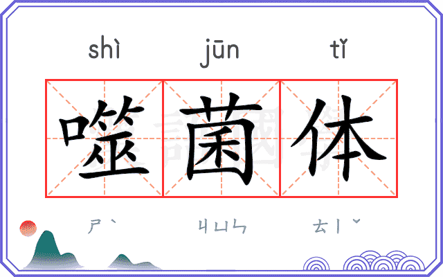 噬菌体