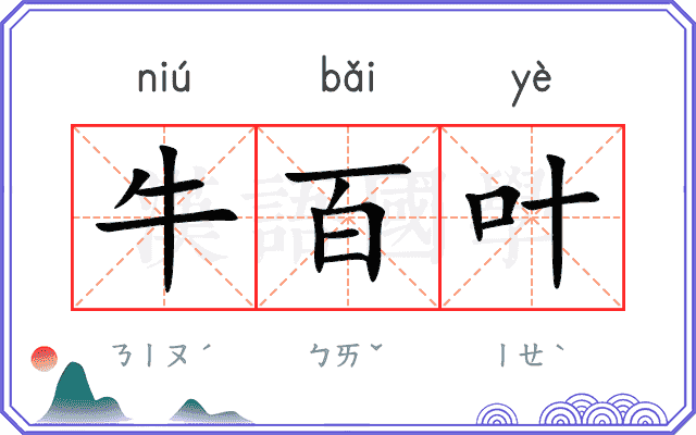 牛百叶