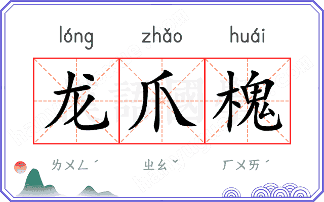 龙爪槐