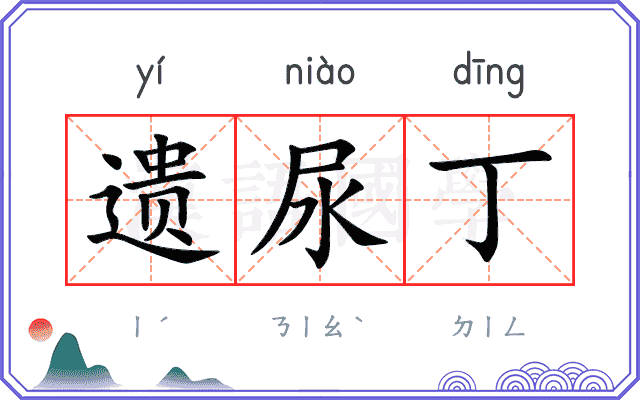 遗尿丁