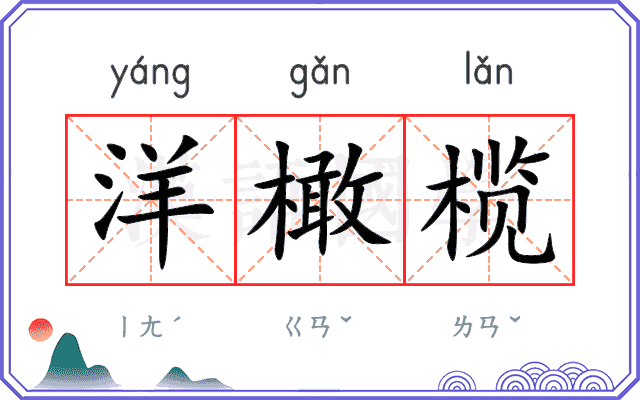 洋橄榄