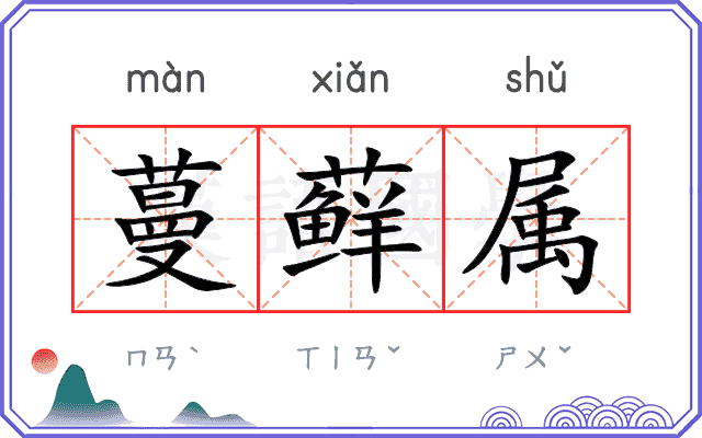 蔓藓属