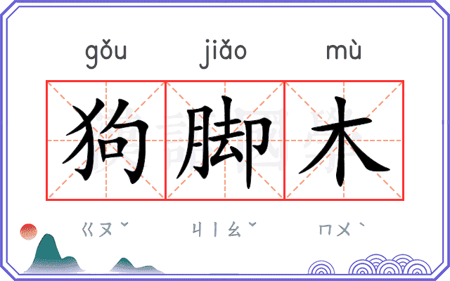 狗脚木