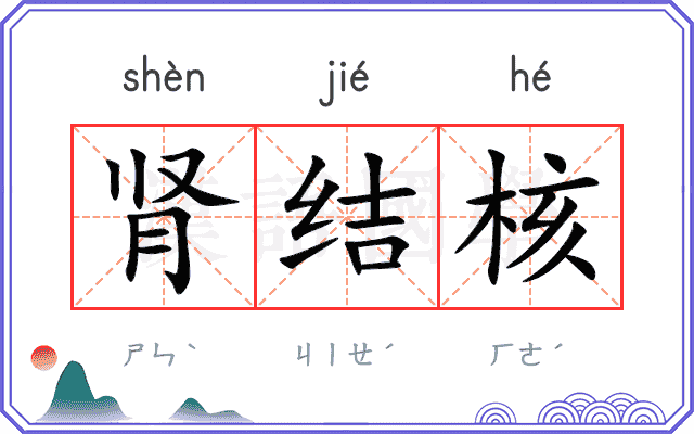 肾结核
