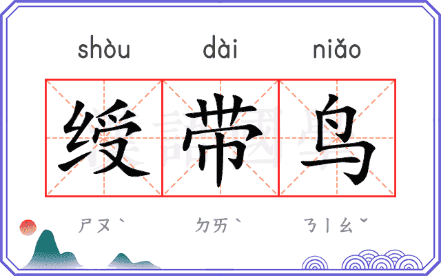 绶带鸟
