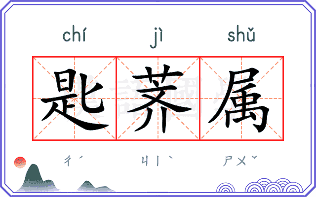 匙荠属