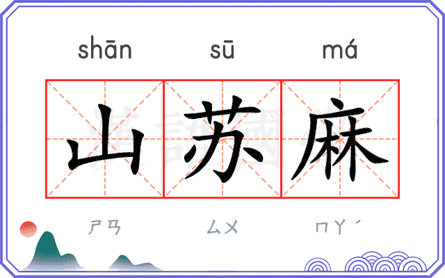 山苏麻