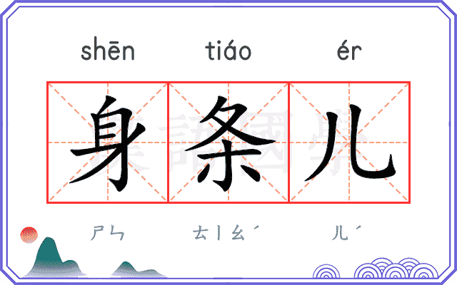 身条儿