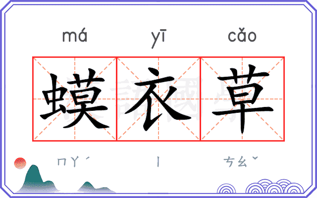 蟆衣草