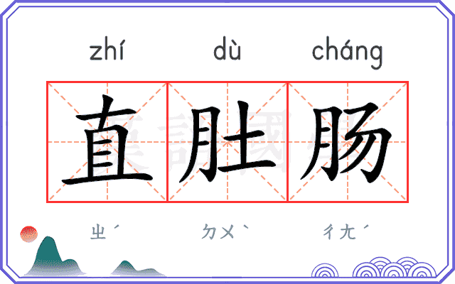 直肚肠