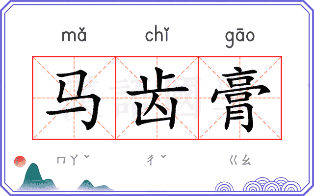 马齿膏