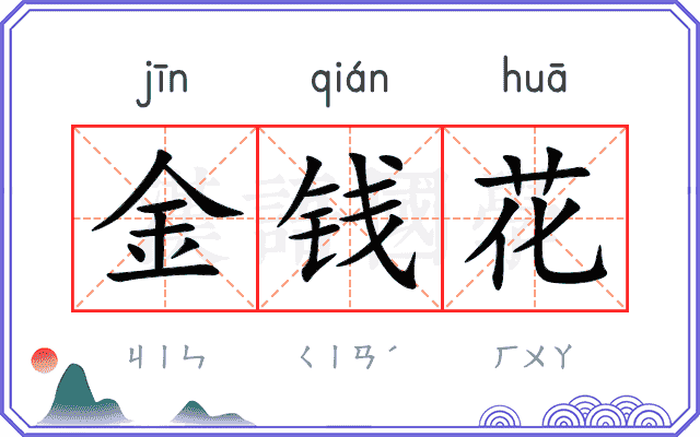 金钱花