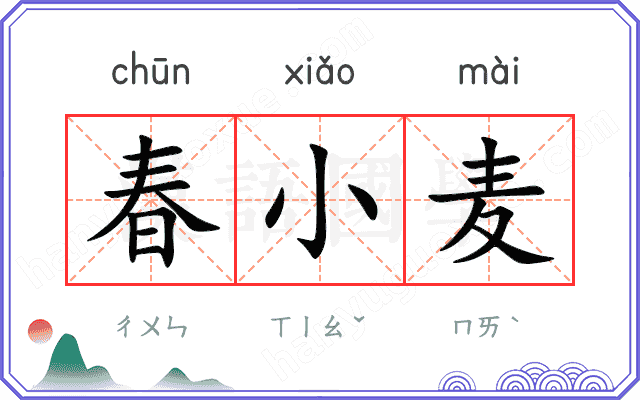 春小麦