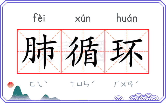 肺循环