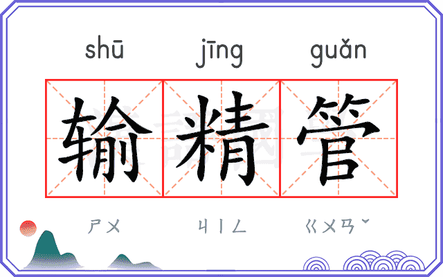 输精管