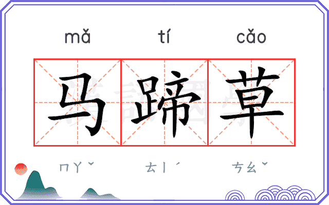 马蹄草