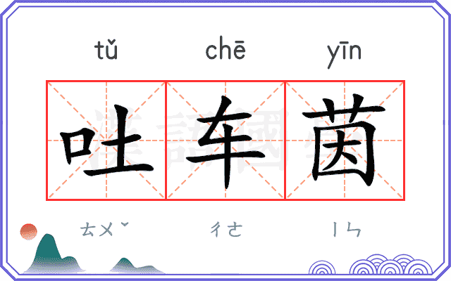 吐车茵