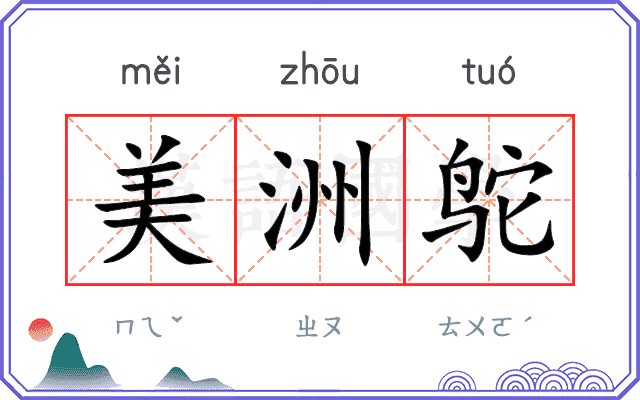 美洲鸵