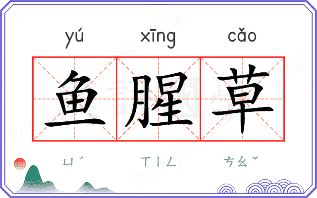 鱼腥草