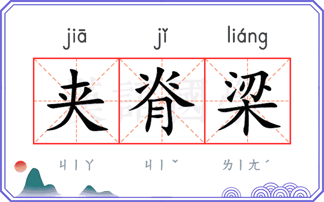 夹脊梁