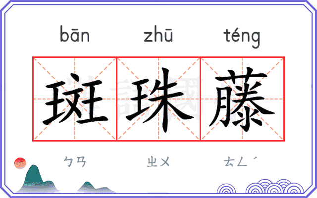 斑珠藤