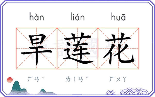 旱莲花