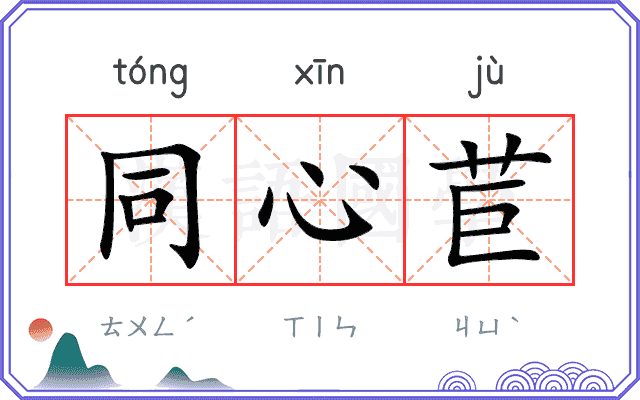 同心苣