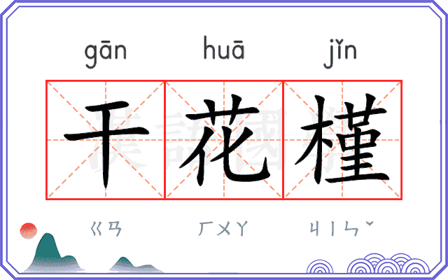 干花槿