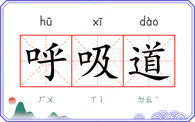 呼吸道
