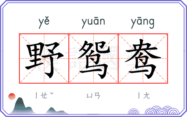 野鸳鸯