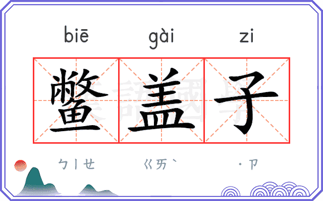 鳖盖子