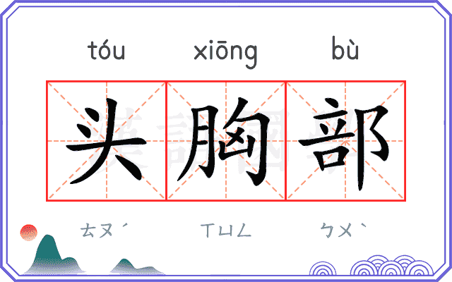 头胸部