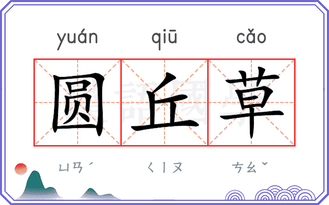 圆丘草