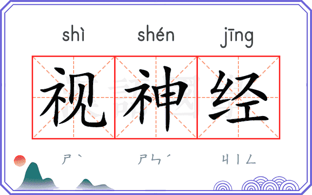 视神经
