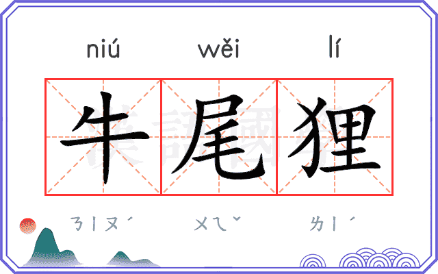 牛尾狸