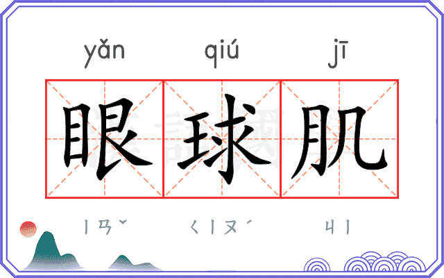 眼球肌