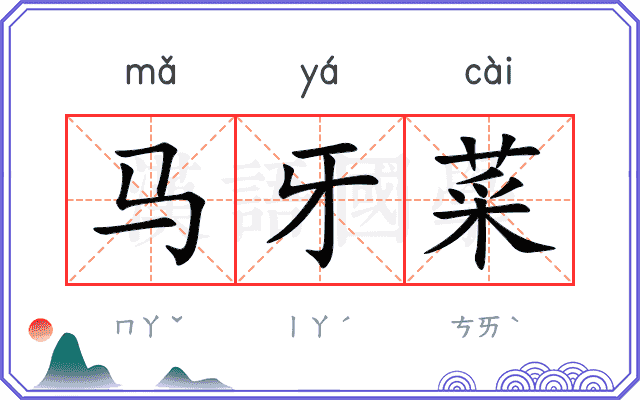 马牙菜