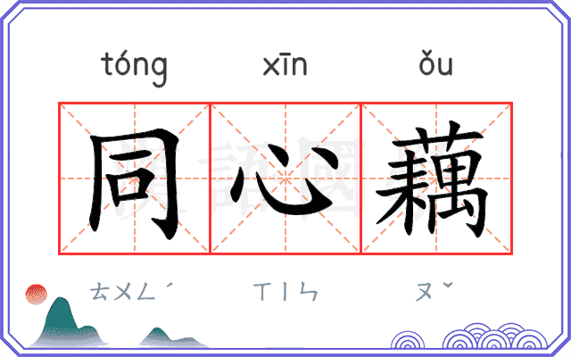 同心藕