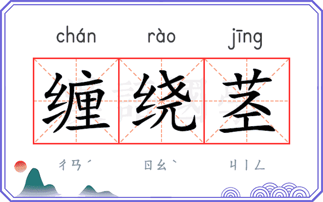 缠绕茎