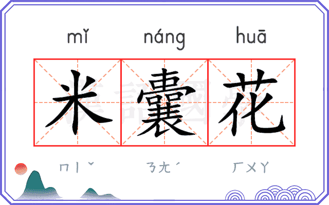 米囊花