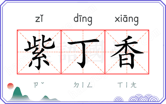 紫丁香